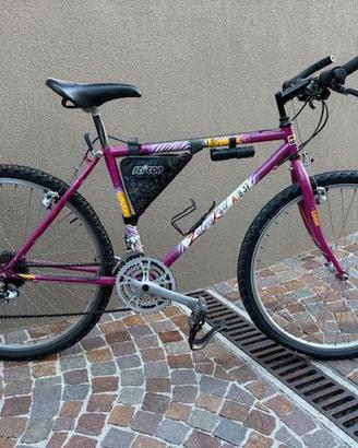 Bicicletta