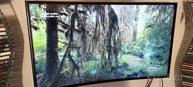 TV Samsung curvo 40 pollici con difetto