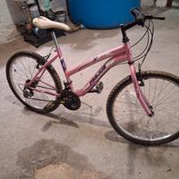 bicicletta da ragazza