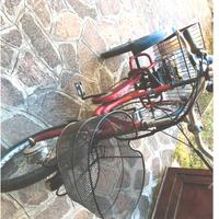 Triciclo con pedalata assistita