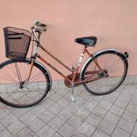 Bicicletta da 26 bronzo meccanica perfetta