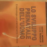 Lo sviluppo prenatale dell'uomo