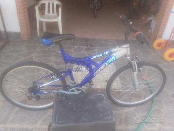 bicicletta 