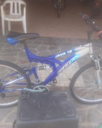 bicicletta 