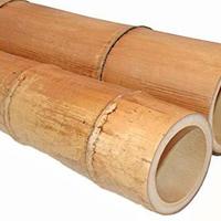 Canne di Bamboo Gigante Bambu da arredamento orto