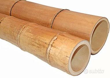 Canne di Bamboo Gigante Bambu da arredamento orto