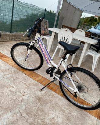 Bicicletta