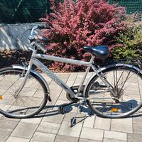 Bici da uomo