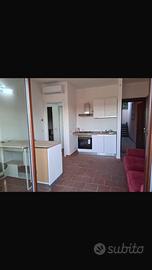 Trilocale con piscina a castell arquato