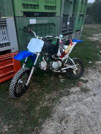 Pit bike kayo