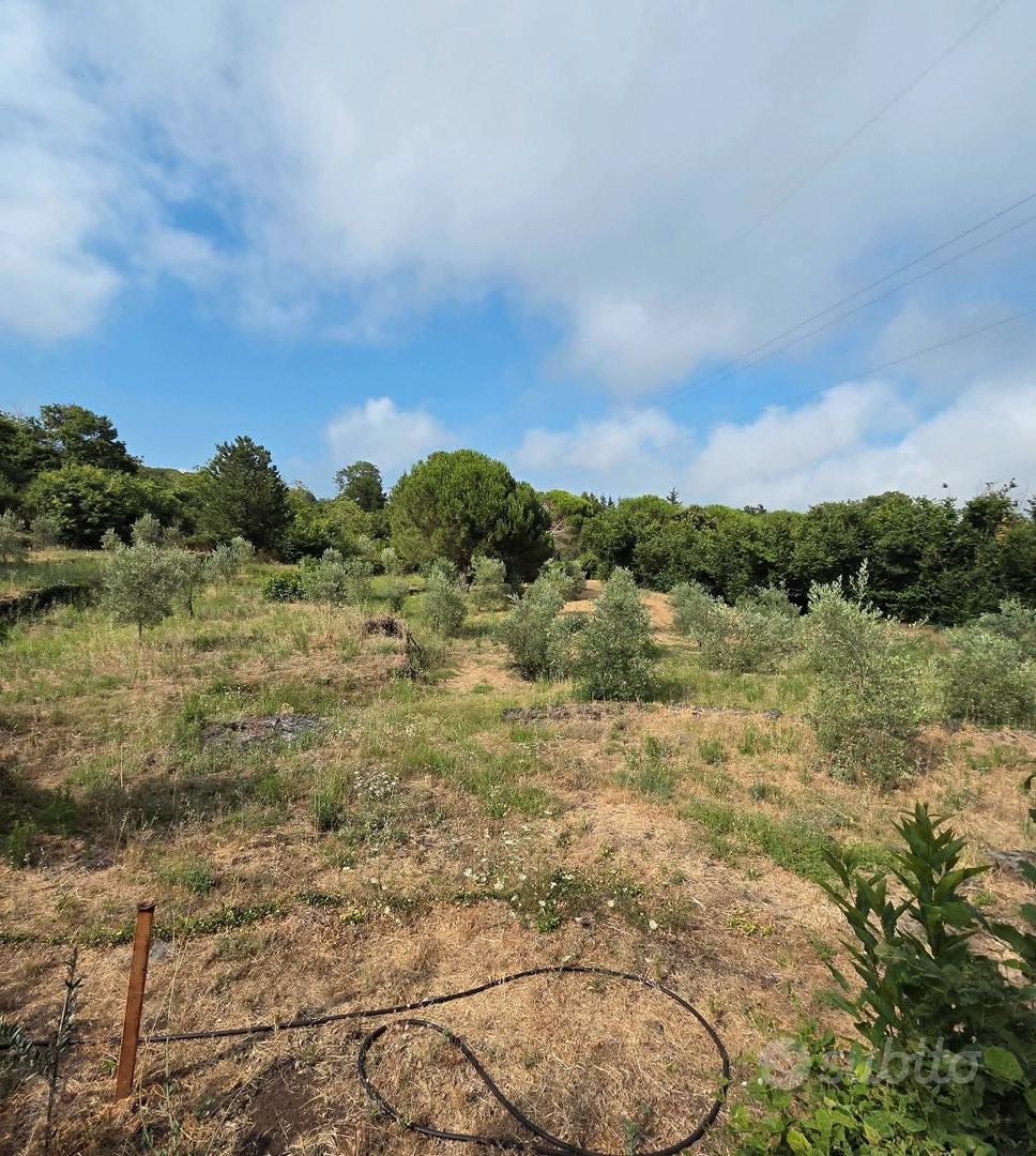 Terreno edificabile e agricolo con casa a Mascali - Vista 3