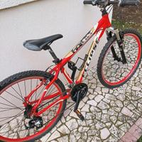 mtb bambino/ ragazzo