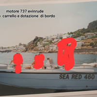 Barca sea red 460
