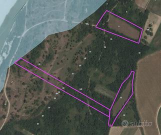 Seminativo a San Giovanni al Natisone