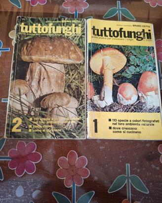 Libro vintage Tuttofunghi Bruno Cetto
