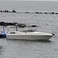 Motoscafo gobbi