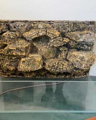 Tartarughiera in vetro