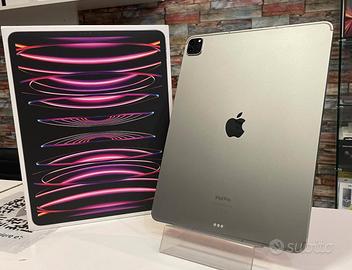 IPAD PRO 11" M2 WIFI+CELL 128GB -GARANZIA 12 MESI