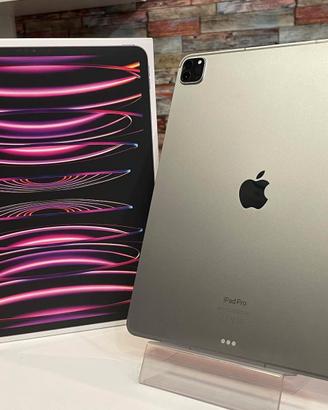 IPAD PRO 11" M2 WIFI+CELL 128GB -GARANZIA 12 MESI
