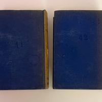 Libri antichi Delitto e Castigo n.2 volumi