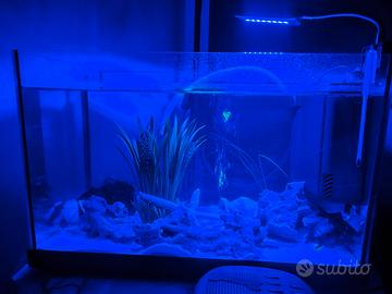 acquario 40 L