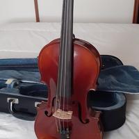 violino