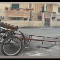 Calesse X cavallo