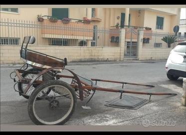 Calesse X cavallo