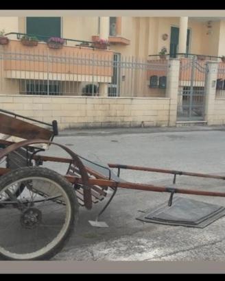 Calesse X cavallo