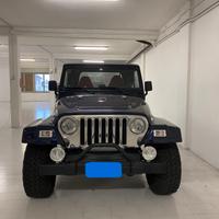 Jeep Wrangler 4.0 cat Hard top (EU)