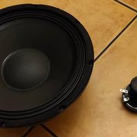 woofer cono da 10 e Tweeter titanio alta potenza !
