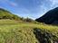 Immagine 11