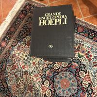 Grande enciclopedia Hoepli