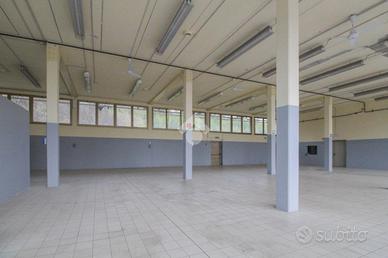 NEGOZIO A SAVIGNANO SUL PANARO