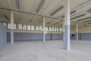 NEGOZIO A SAVIGNANO SUL PANARO