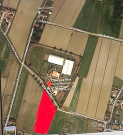 Terreno agricolo