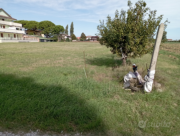 Bel terreno agricolo mq. 4210