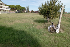 Bel terreno agricolo mq. 4210