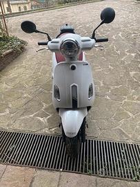 Sym Fiddle 50 - 2022