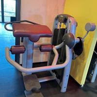 GLUTEUS MACHINE