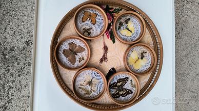 Vassoio con farfalle vere
