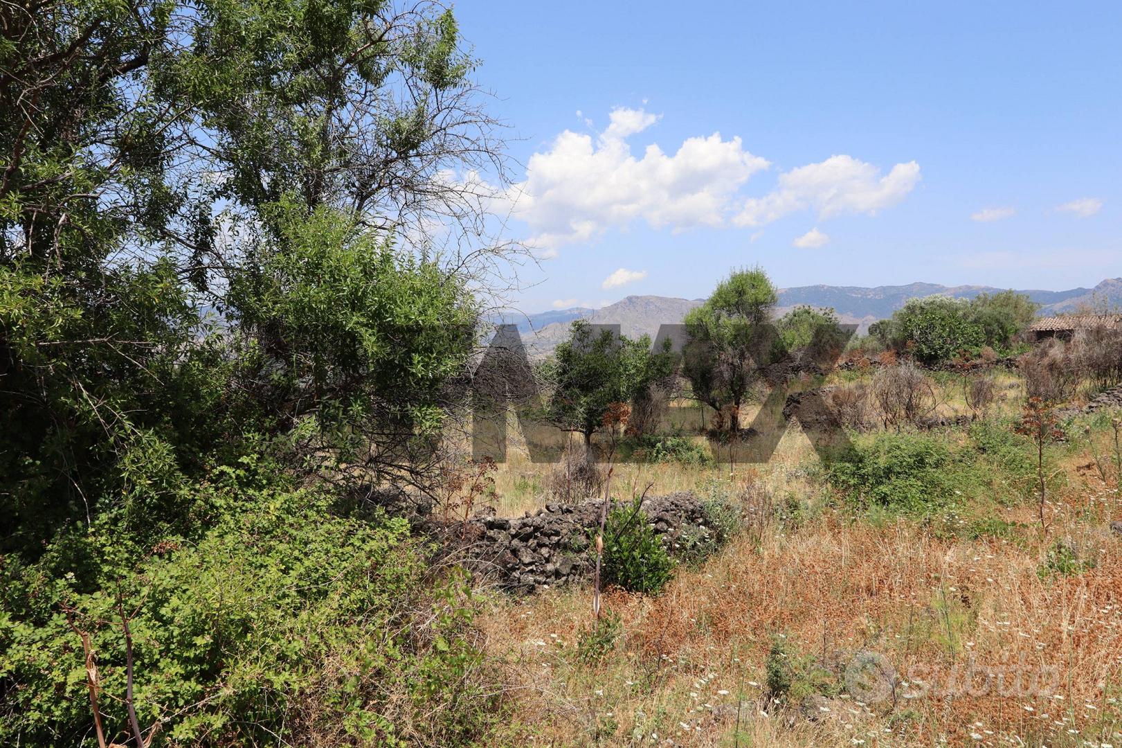 Terreno - Castiglione di Sicilia - Vista 2