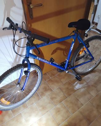 bici vintage