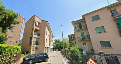 Stanza in ampio appartamento con giardino privato