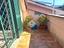 Immagine 21