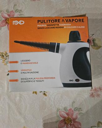 pulitore a vapore 