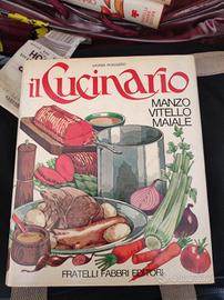Lotto 6 Libri "Il Cucinario" - Savina Roggero 