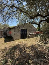 Cantina Fondi [V259VCG]