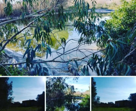 Rudere con terreno