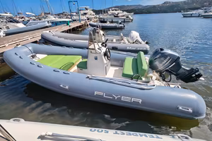Flyer BWA con yamaha 40/60 